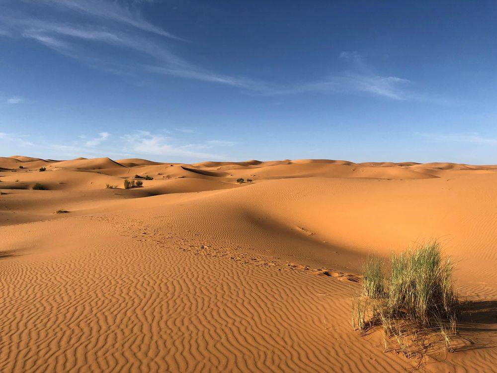 Egypt landscape