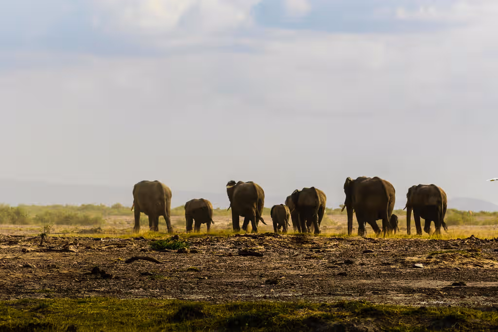 Kenya