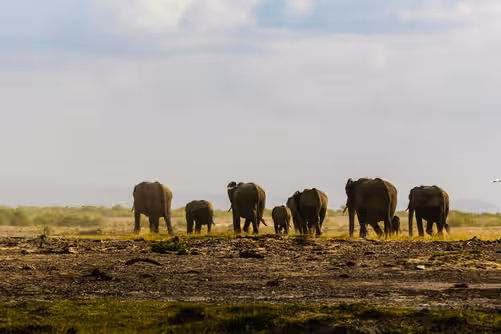 Kenya