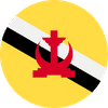 BRUNEI flag