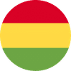 BOLIVIA flag