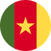 CAMEROON flag