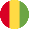 GUINEA flag