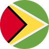 GUYANA flag