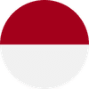 INDONESIA flag