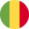 MALI flag