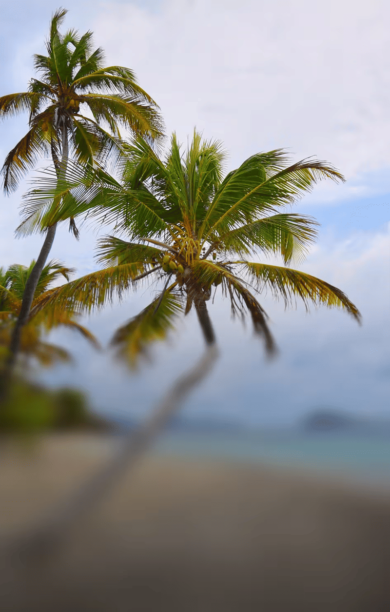 St. Vincent & Grenadines