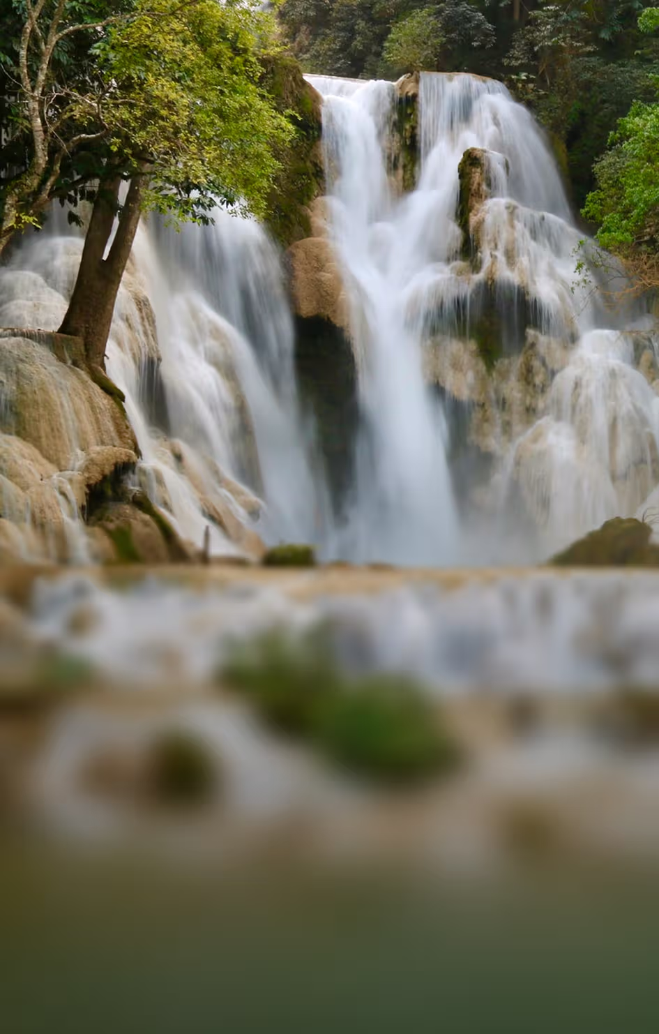 Laos