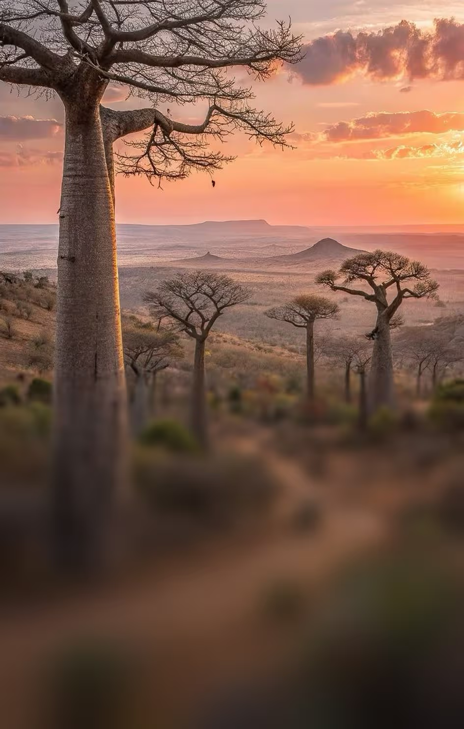 Madagascar