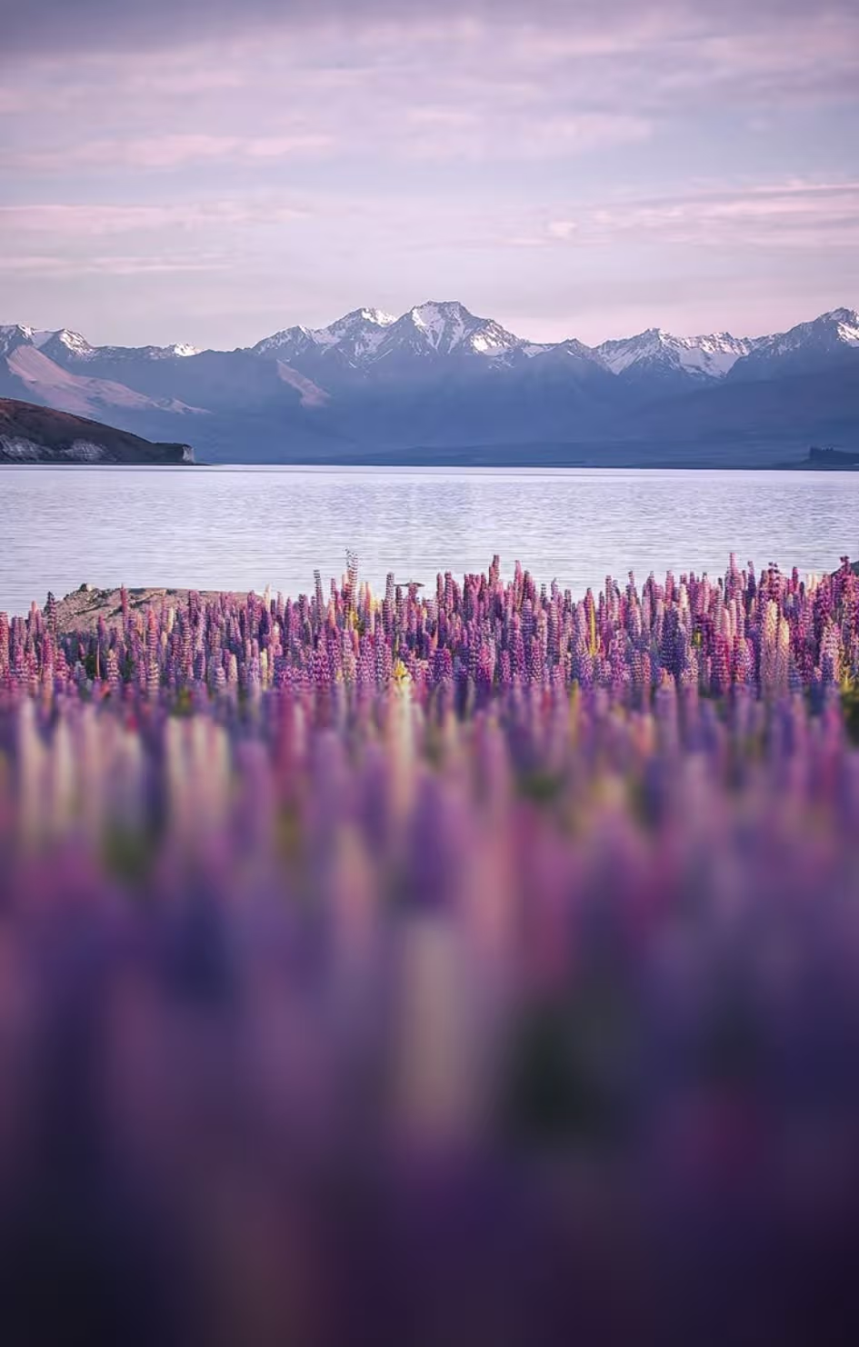 New Zealand