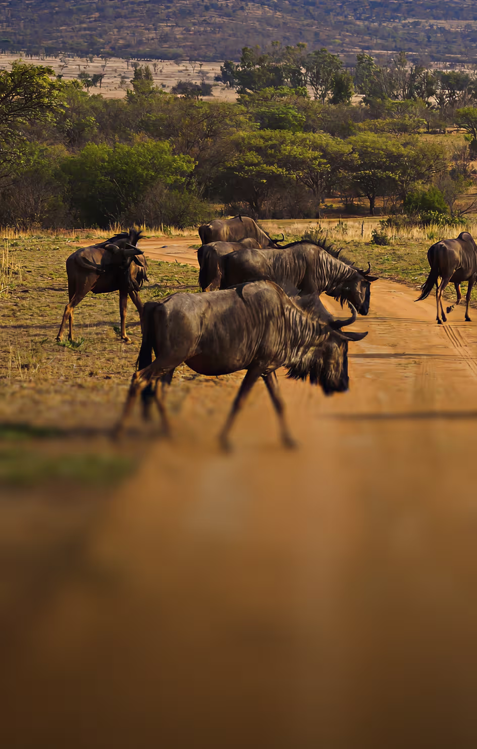 South Sudan