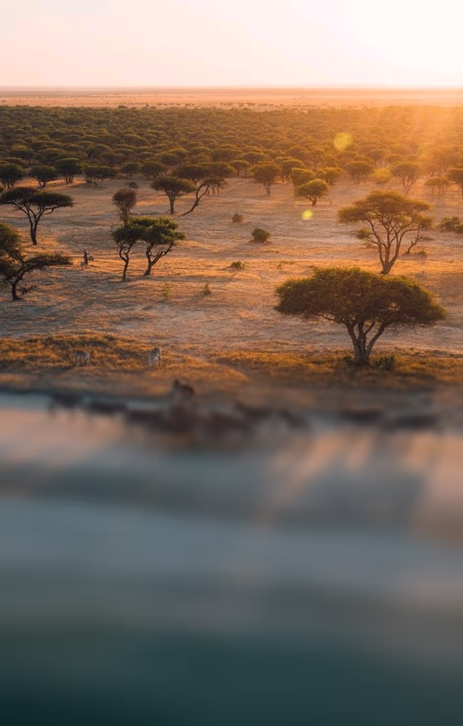 Tanzania
