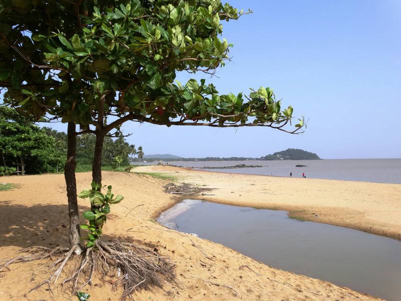 French Guiana