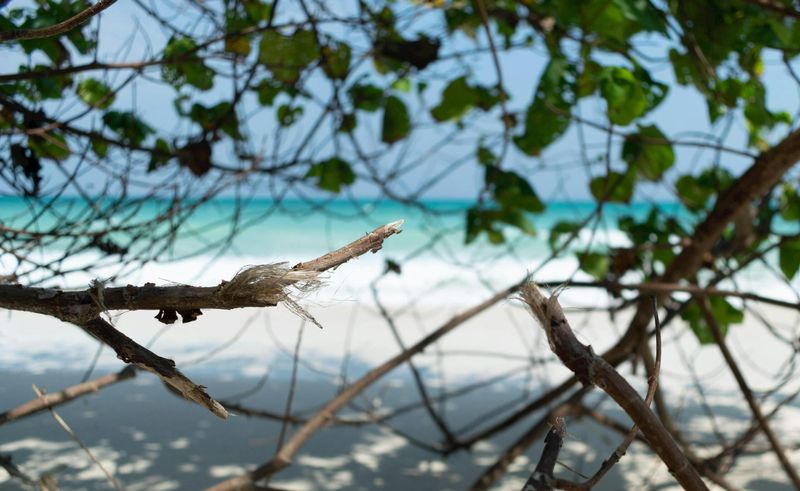 Solomon Islands