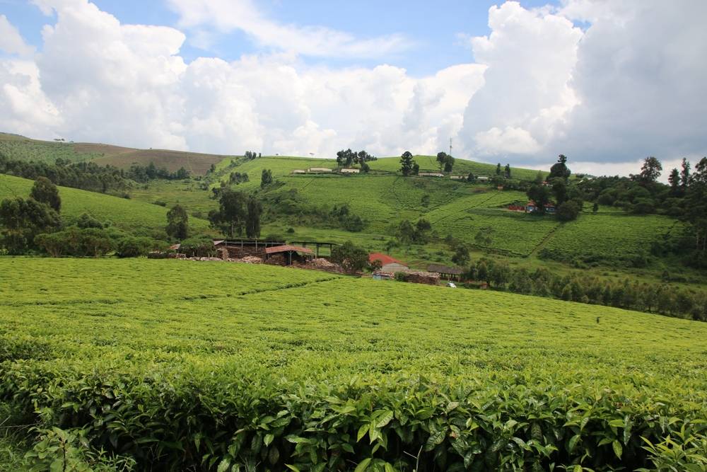 Burundi