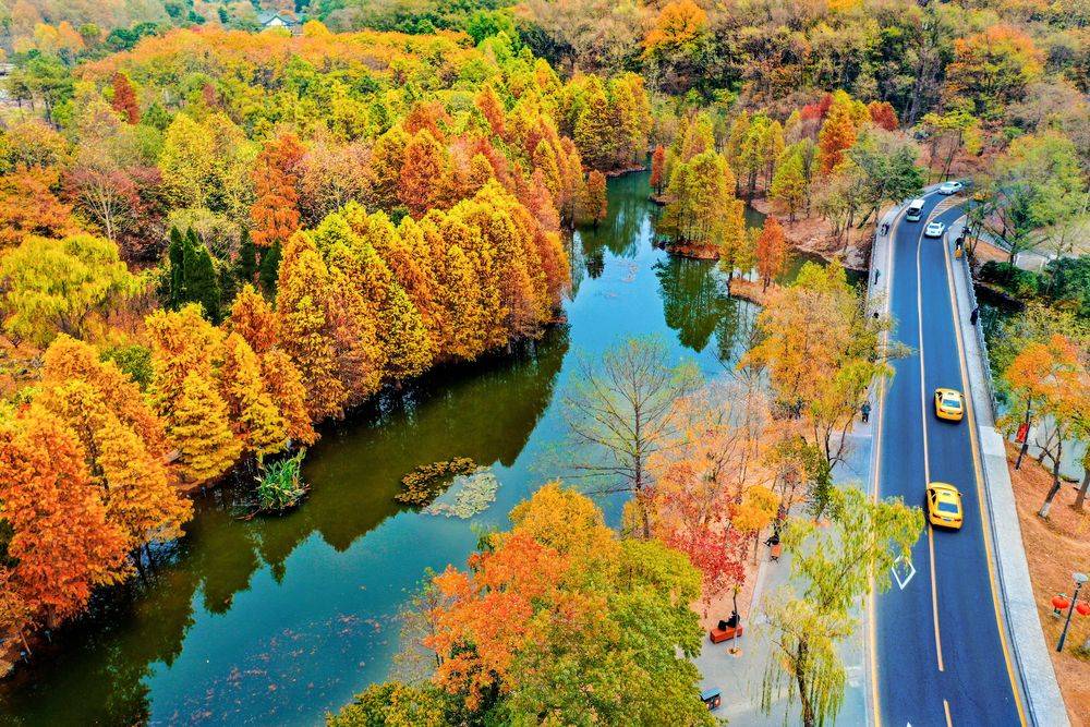 View of How to Say Landing Page in French: A Comprehensive Guide