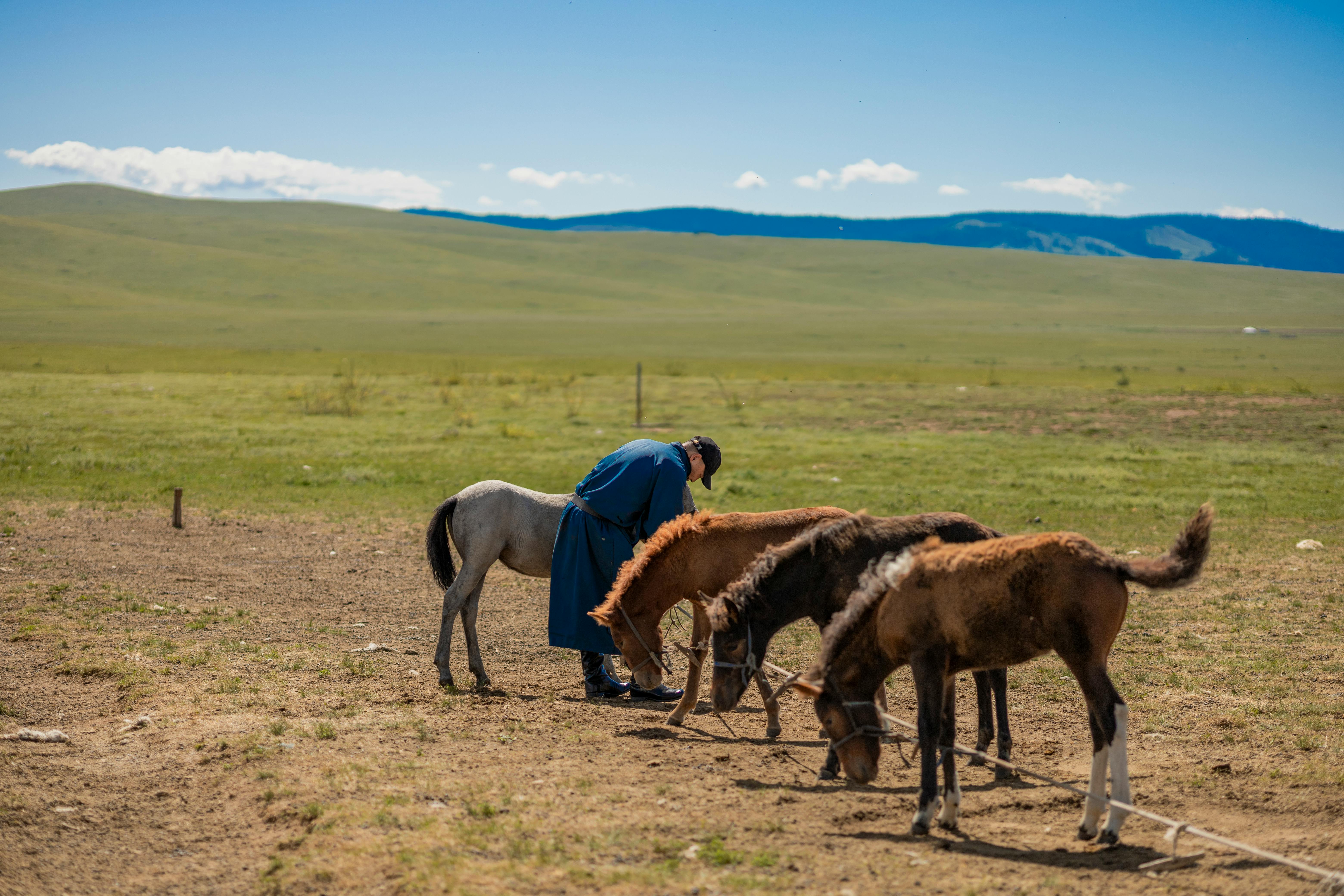 Mongolia