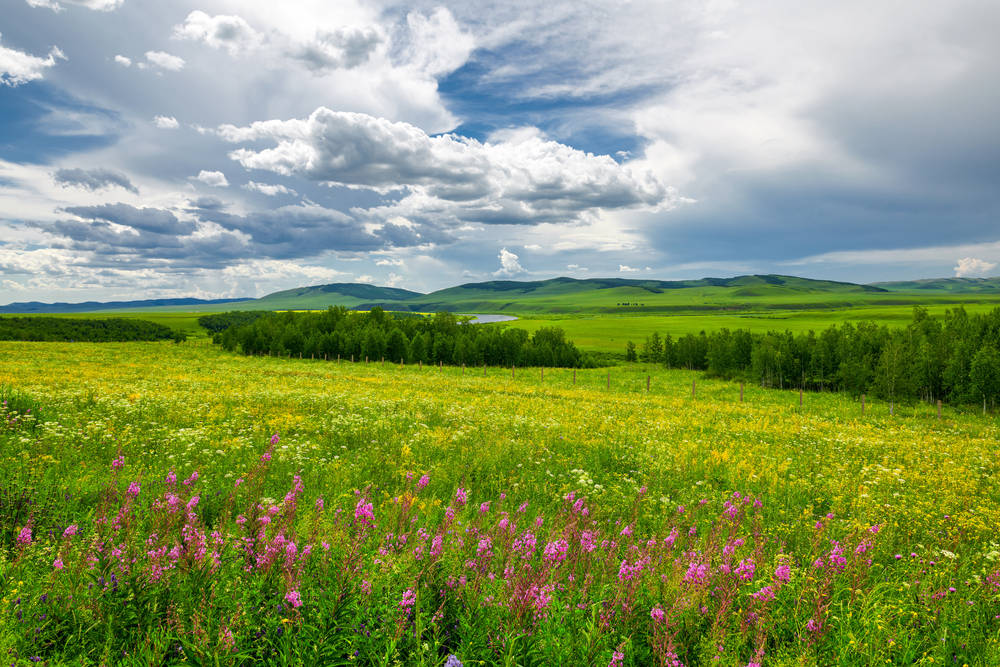 Mongolia