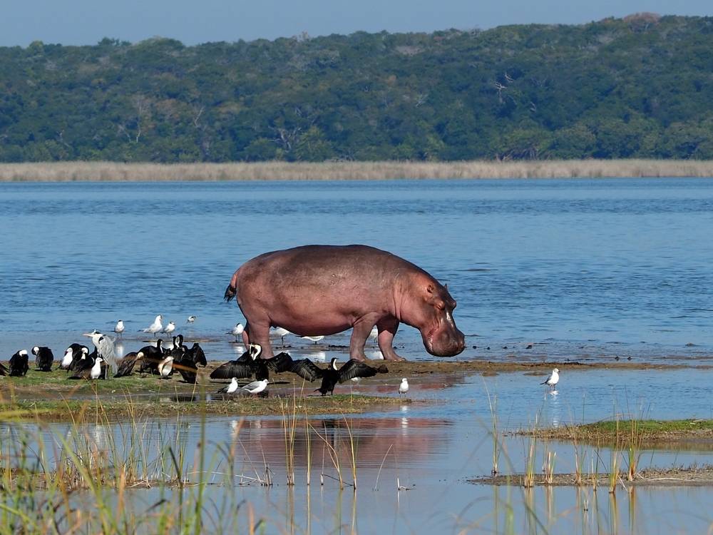 Mozambique