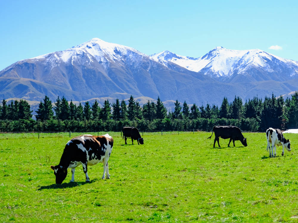 New Zealand