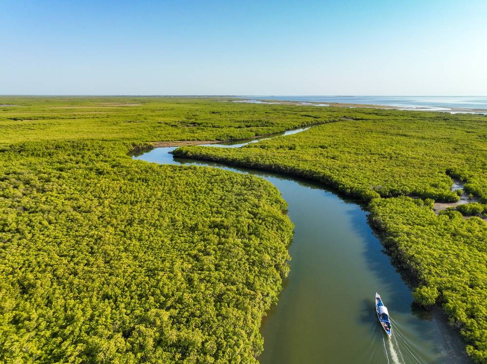 Senegal