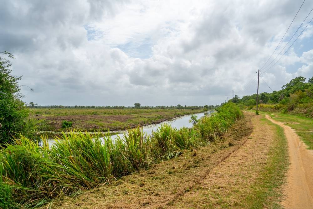 Suriname