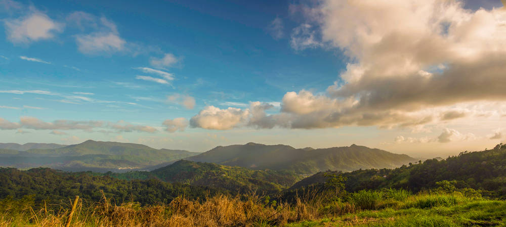 Trinidad & Tobago