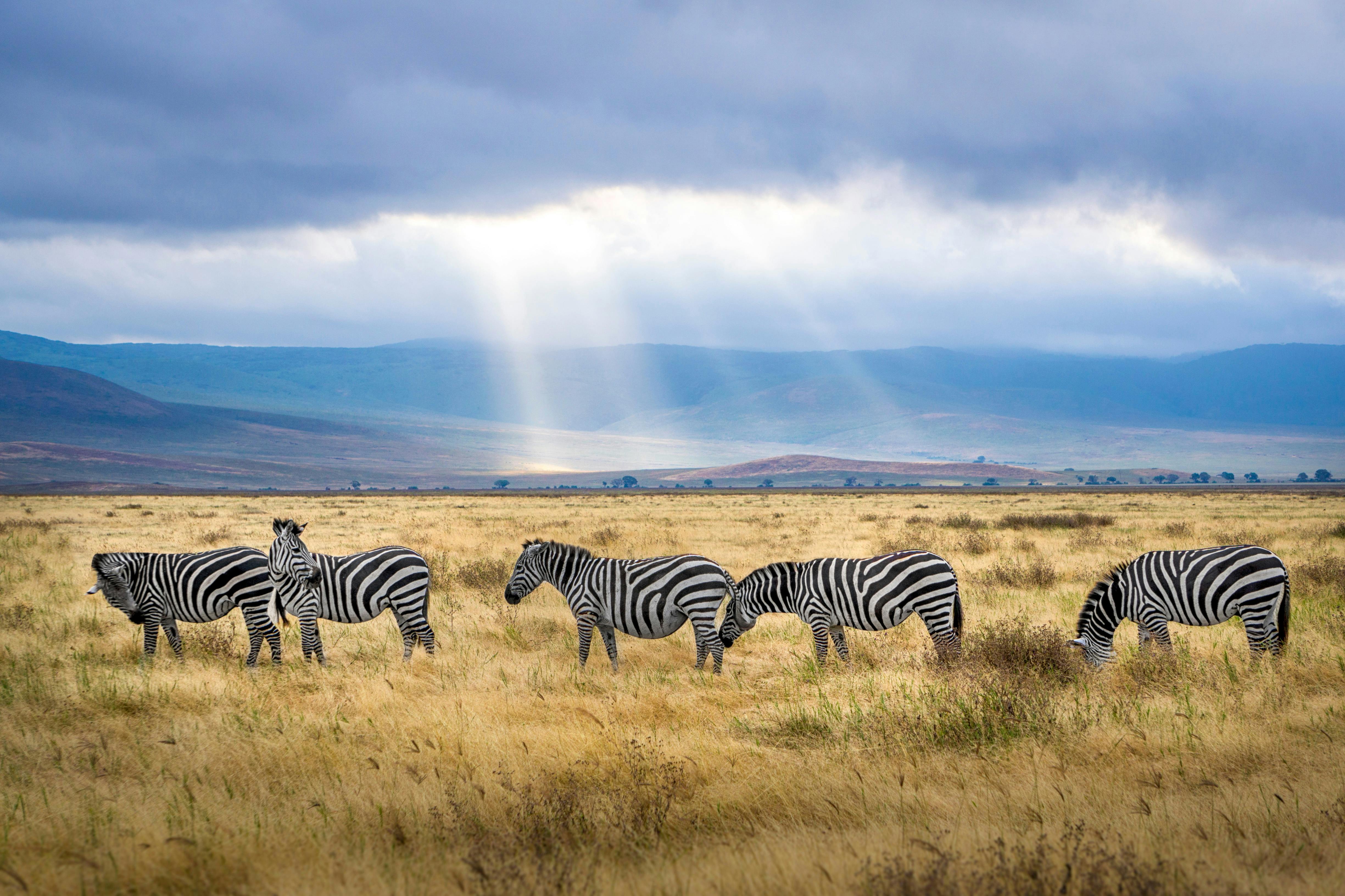 Tanzania