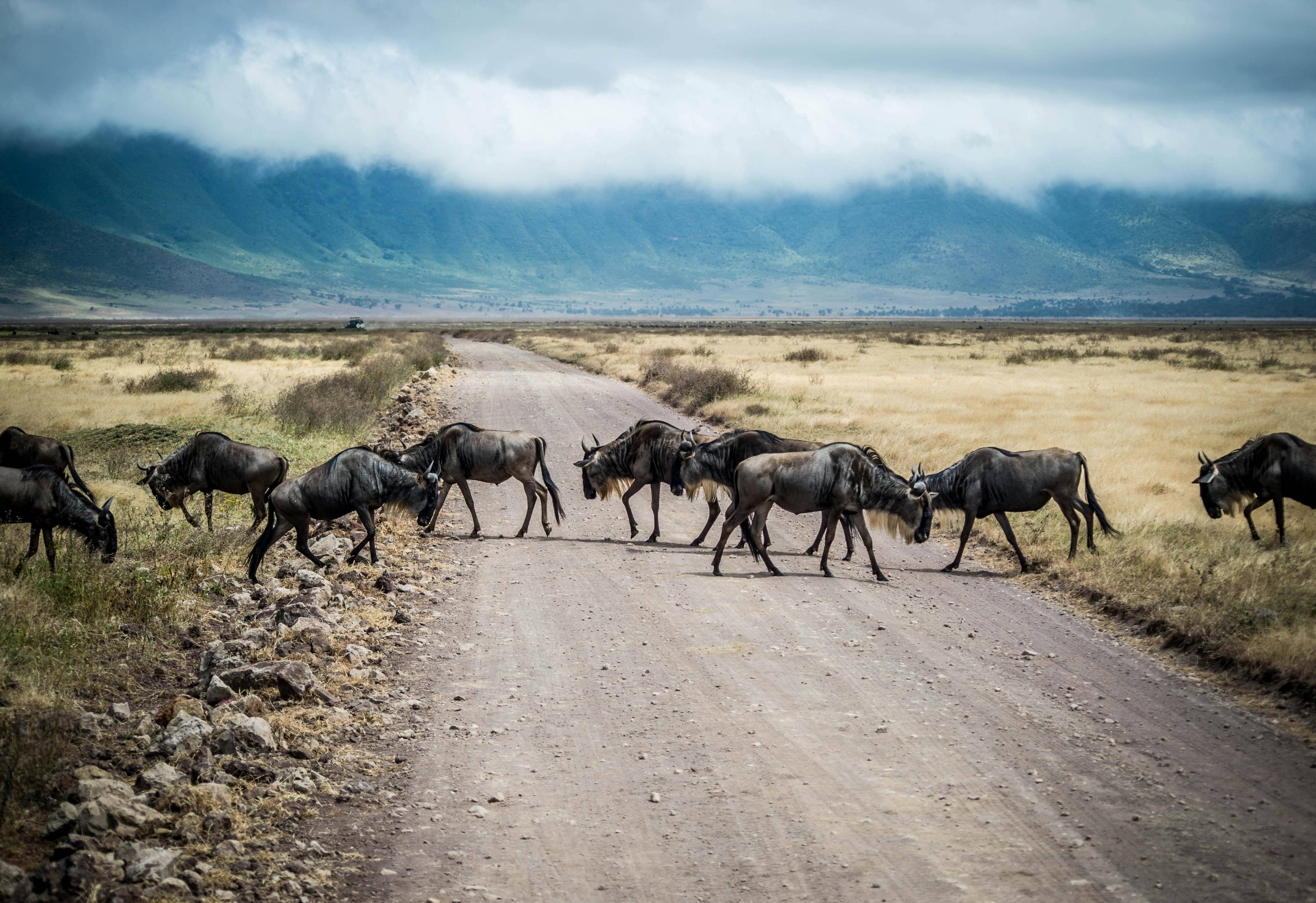 Tanzania