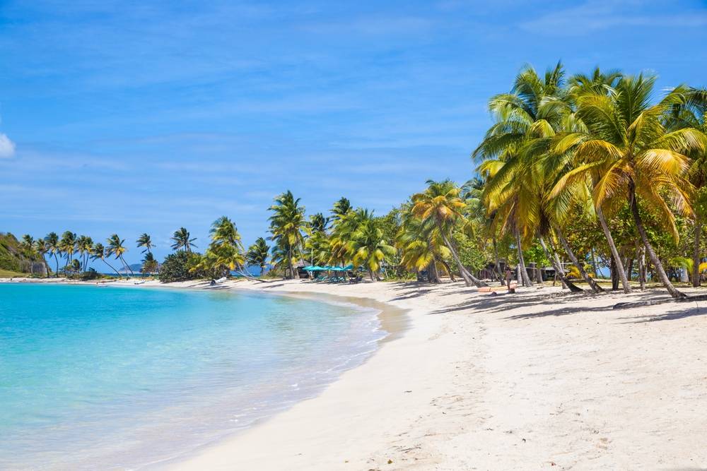 St. Vincent & Grenadines