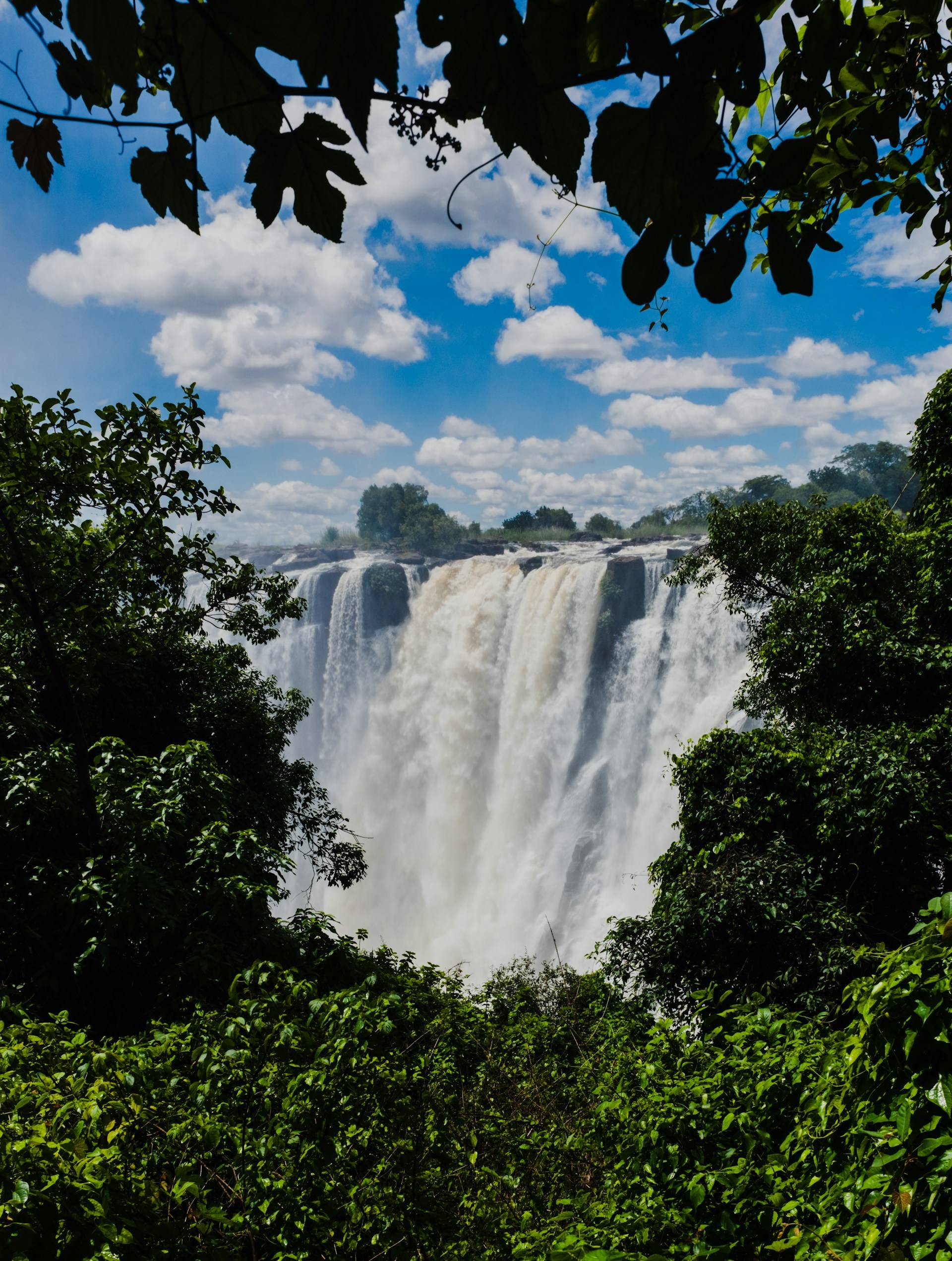 Zambia