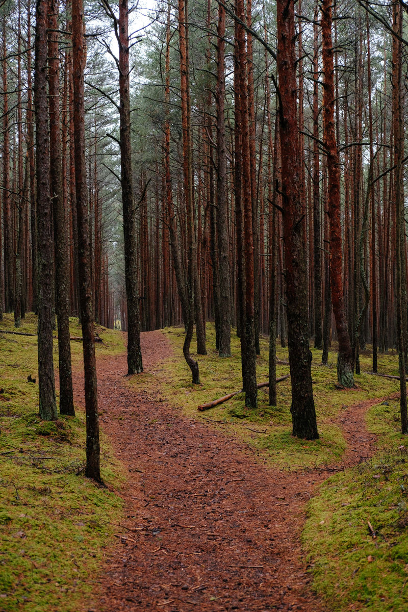 Jūrmala, Latvia