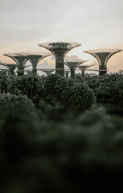 SINGAPORE
