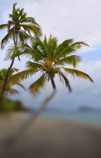 St. Vincent & Grenadines