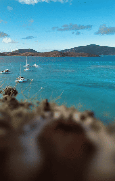 British Virgin Islands